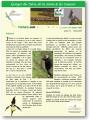 Lettre Info n°2 - 2009